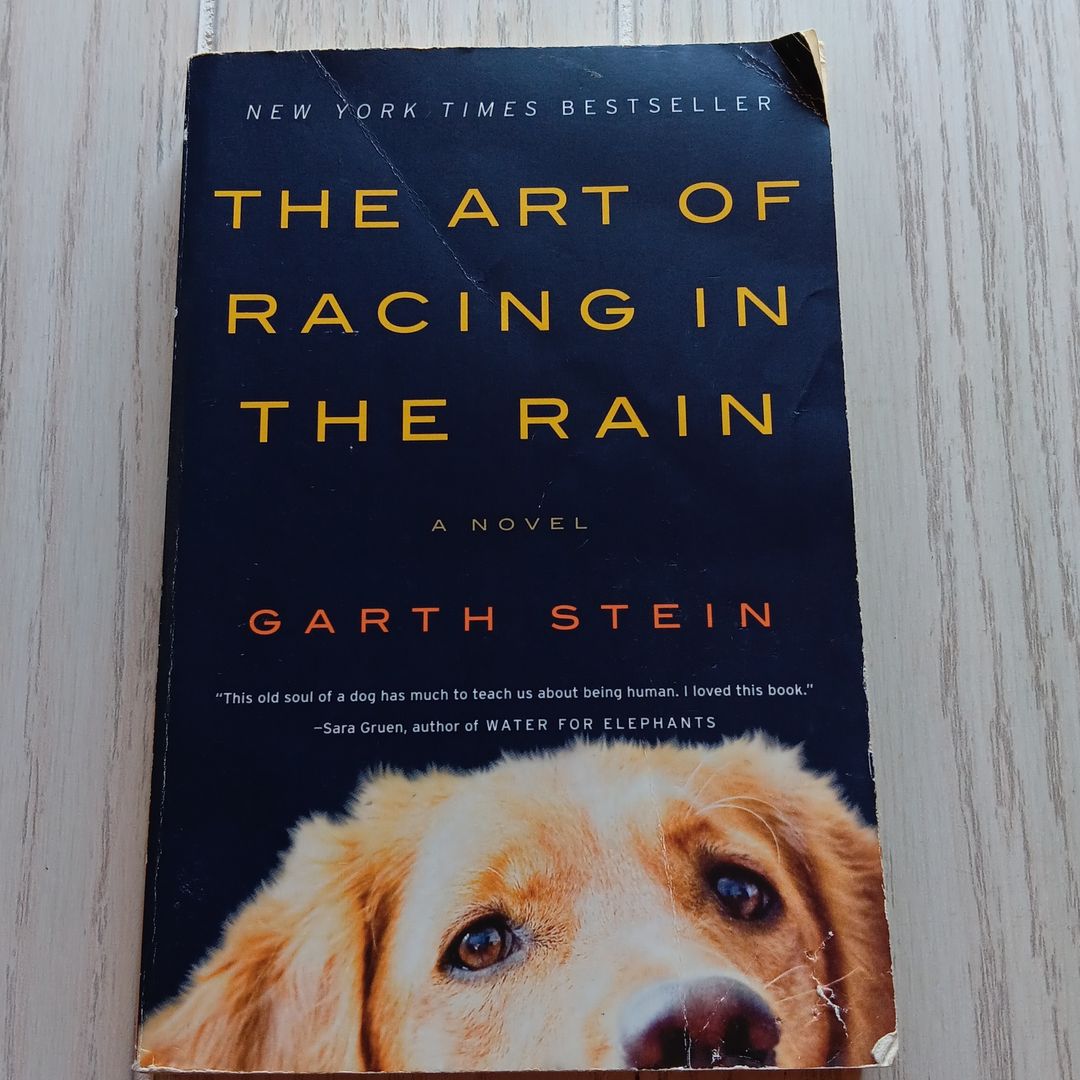 The Art of Racing in the Rain