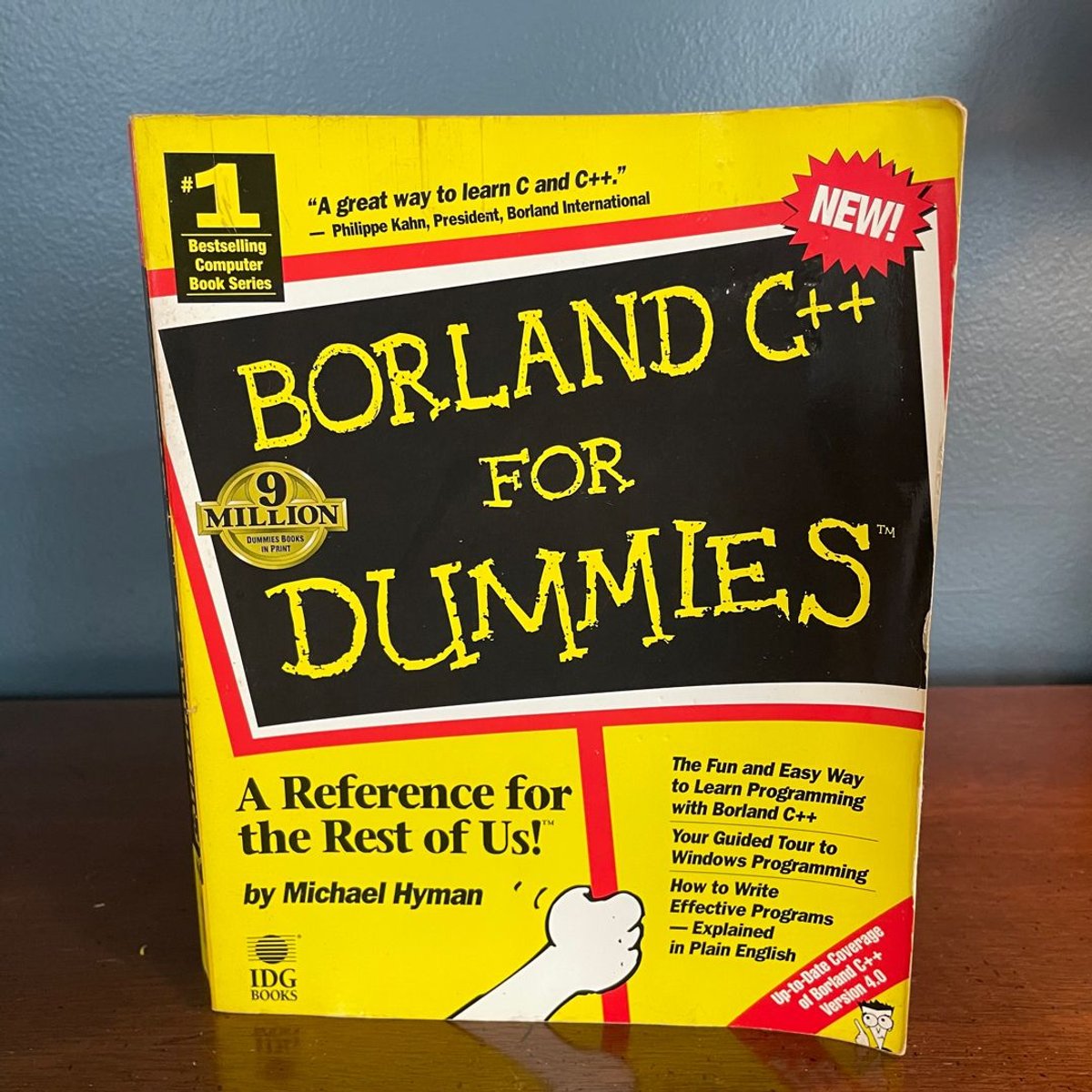 Borland C++ for Dummies by Michael Hyman