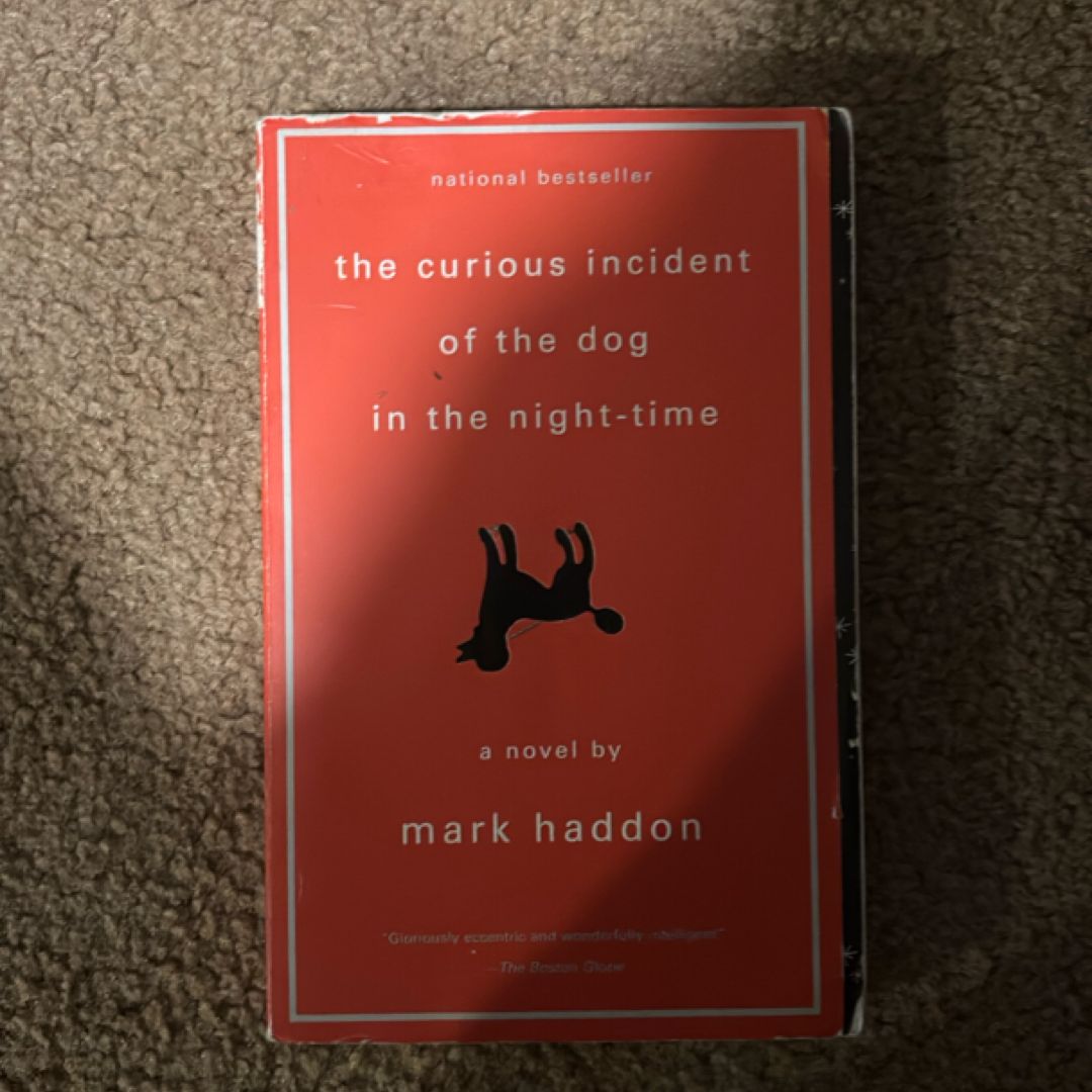 The Curious Incident of the Dog in the Night-Time