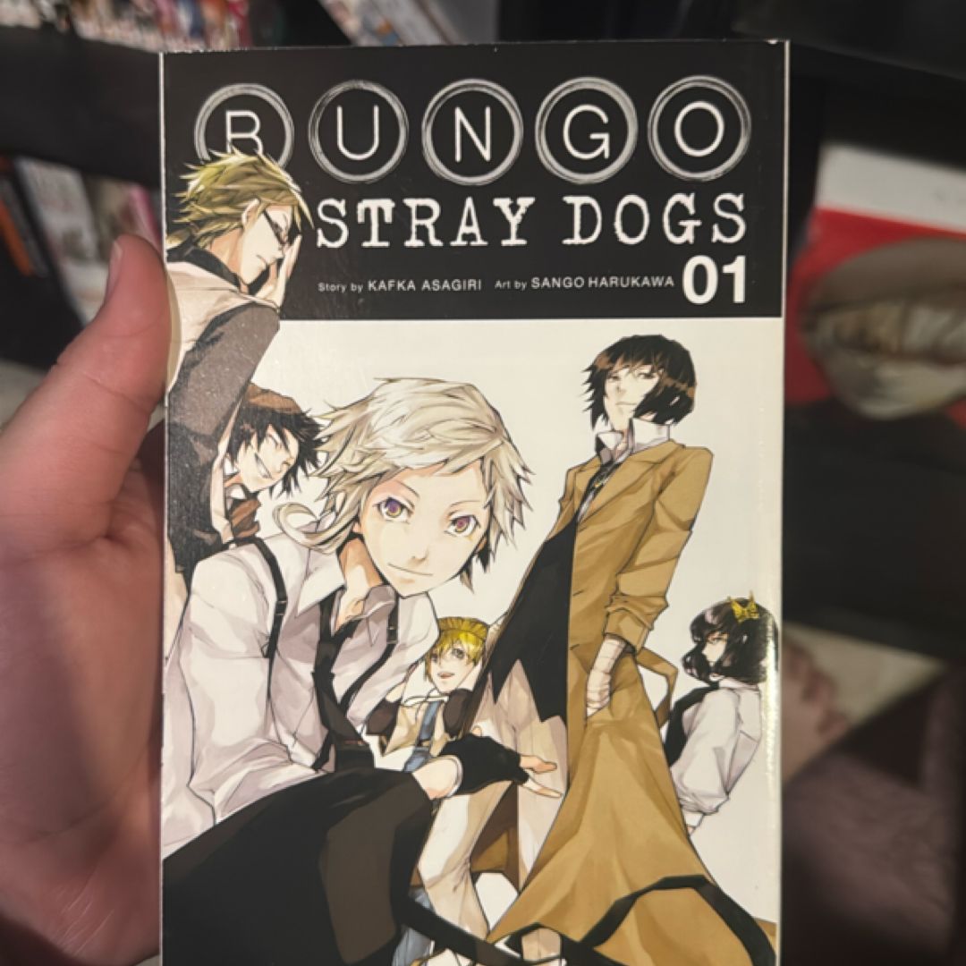 Bungo Stray Dogs, Vol. 1