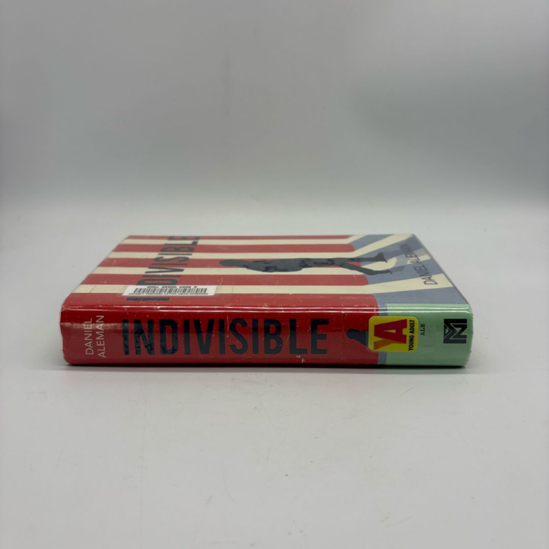 Indivisible by Daniel Aleman, Hardcover | PangoBooks