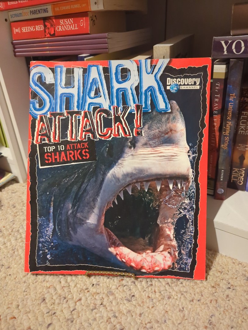 Shark Attack! Top 10 Shark Attacks 