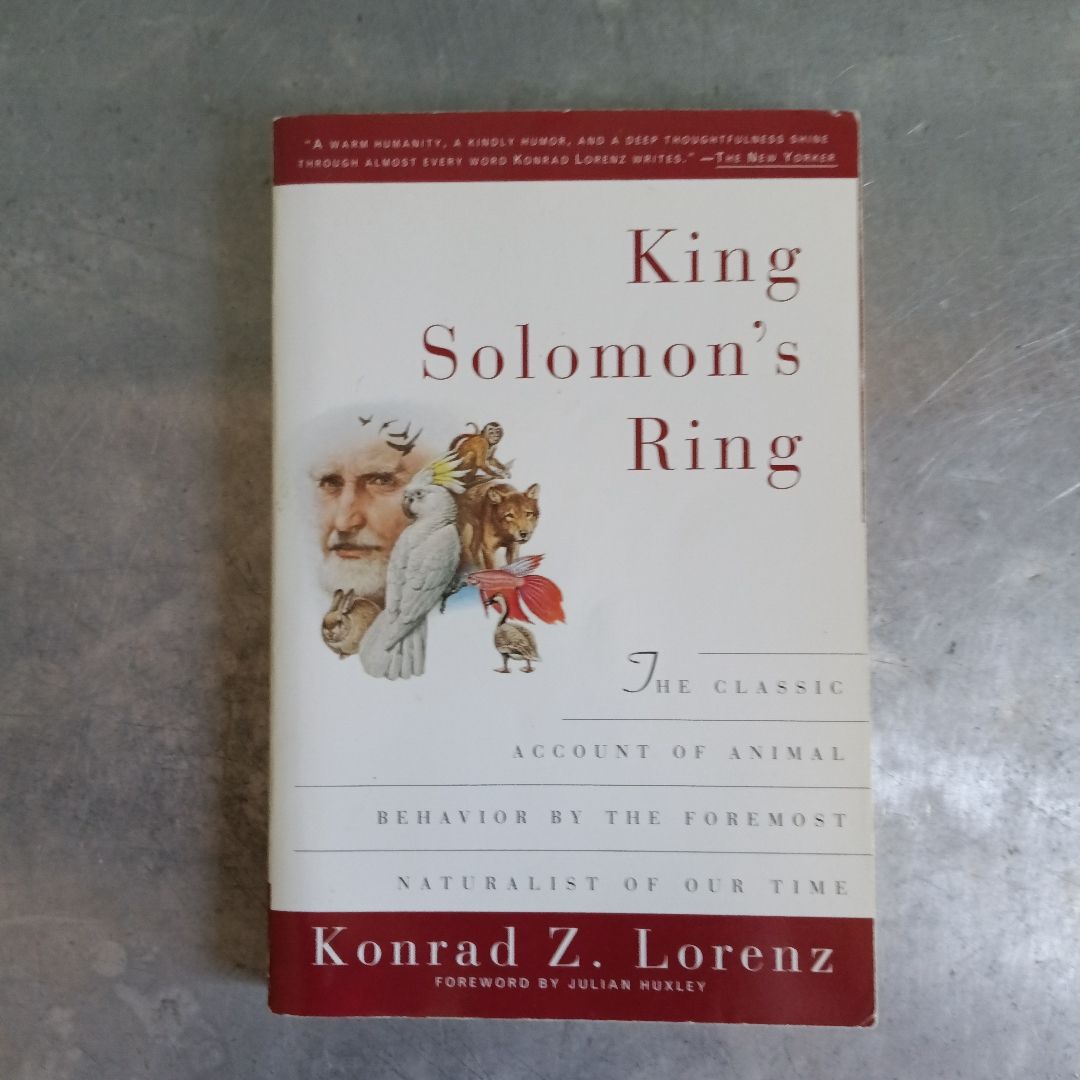 King Solomon's Ring