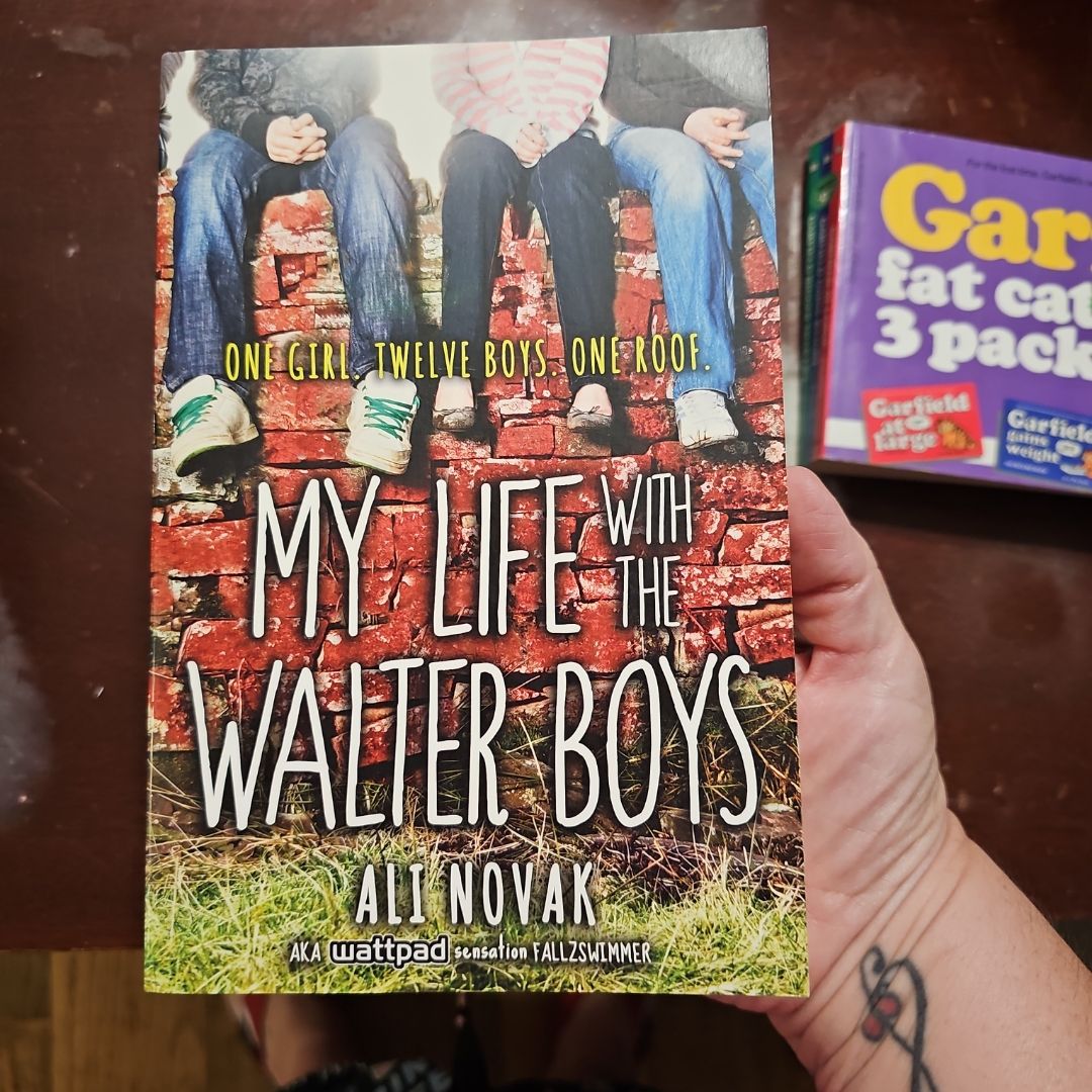 My Life with the Walter Boys