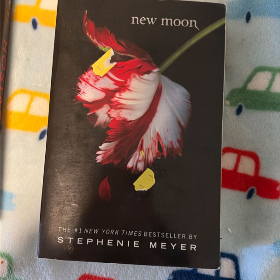 New Moon