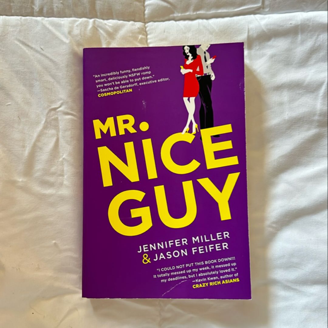 Mr. Nice Guy