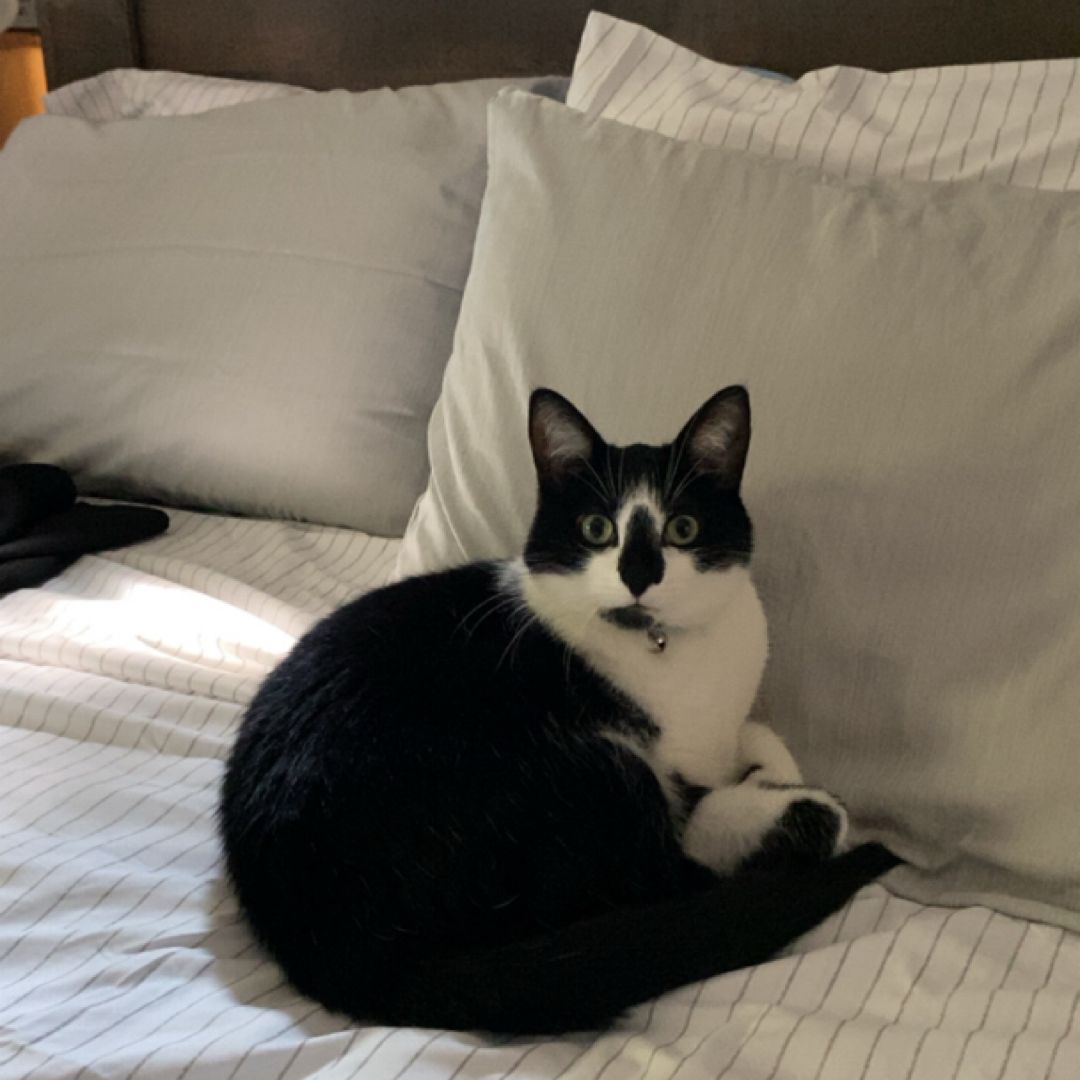 Lindsey’s Book Corner