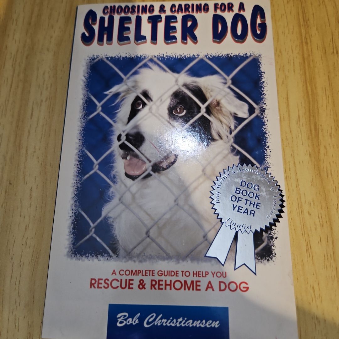 Choosing and Caring for a Shelter Dog