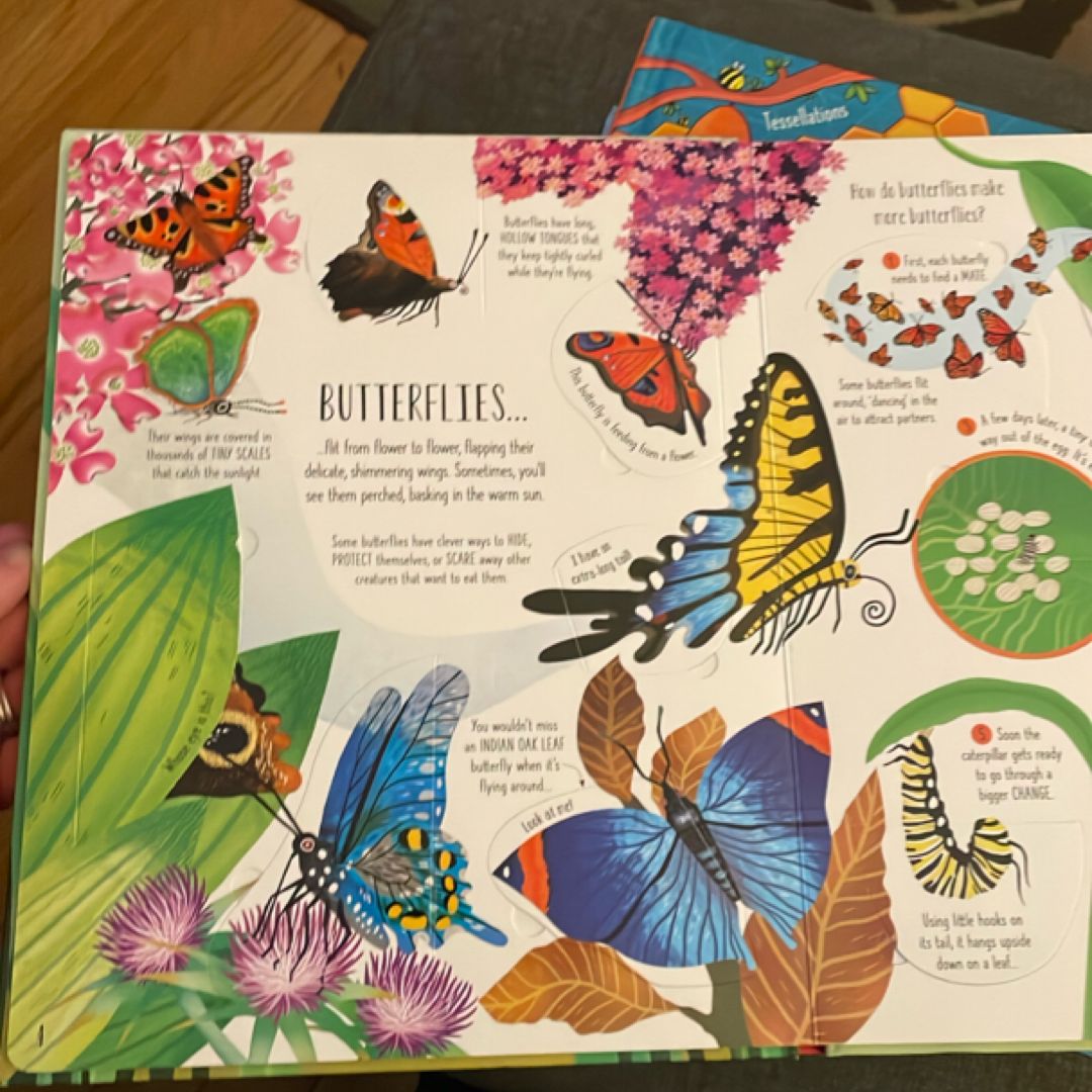 Lift-The-Flap Bugs and Butterflies IR