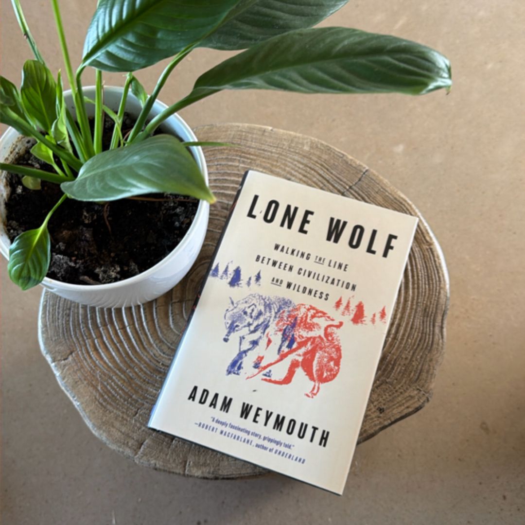 Lone Wolf