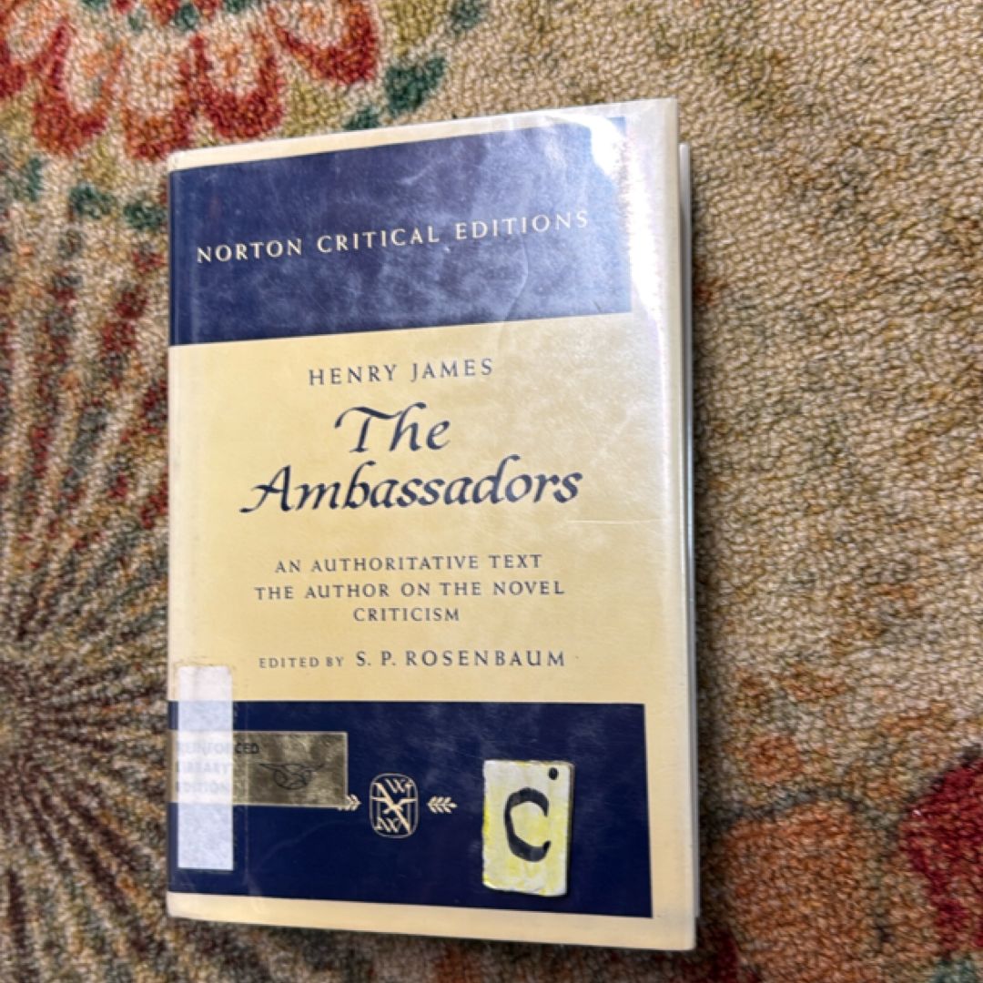  The Ambassadors 