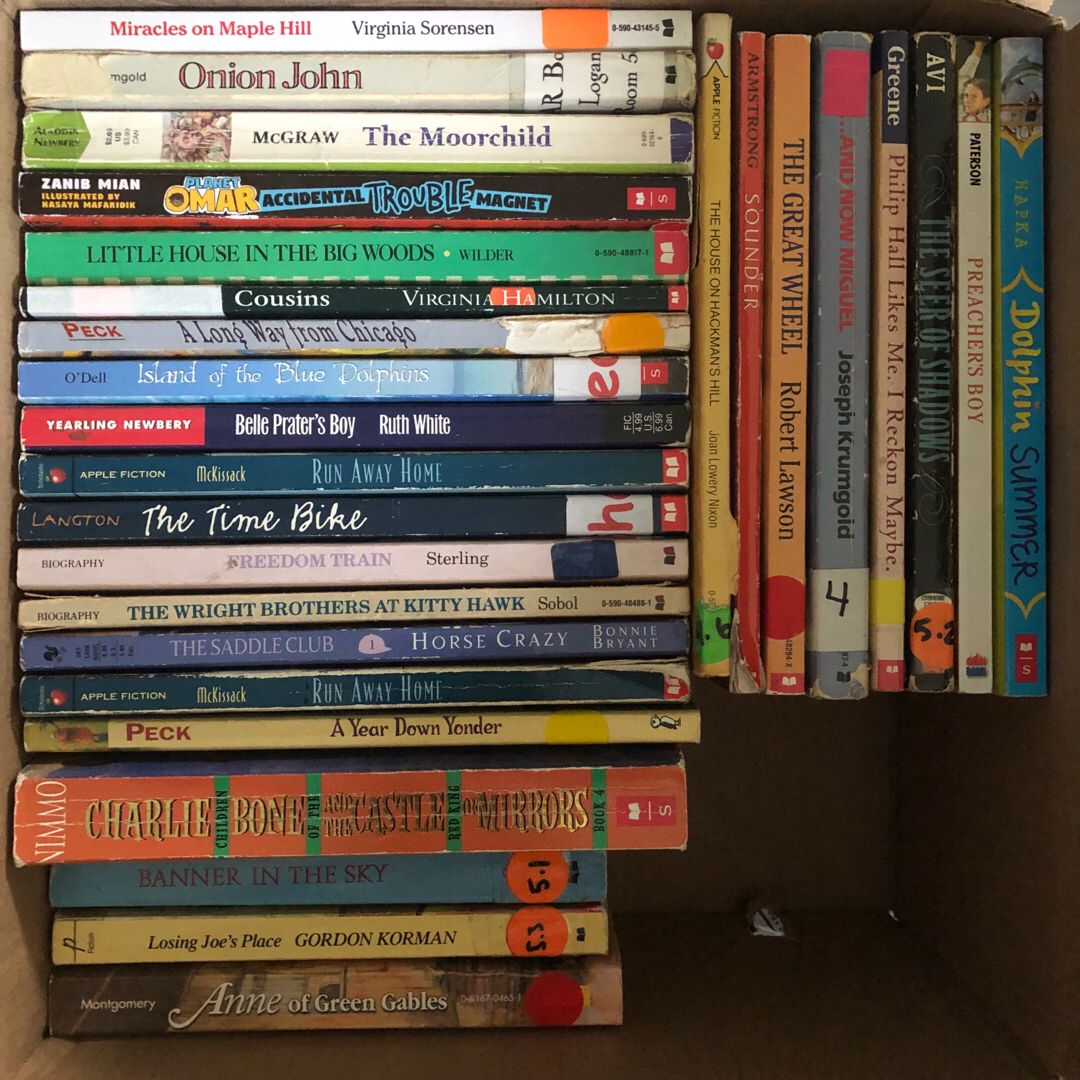 Upper Elementary Sellers Choice Book Bundle (Details in Description)
