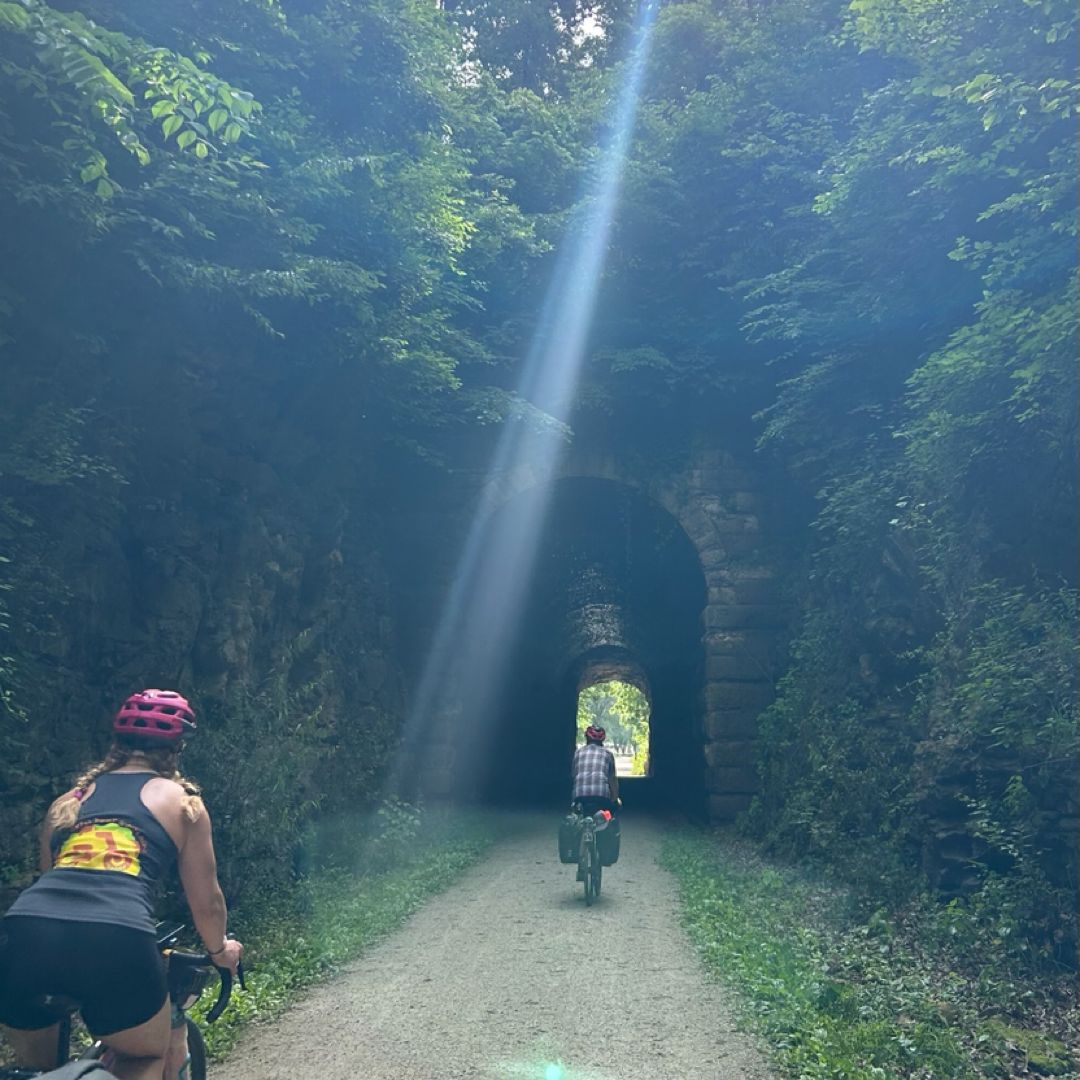 Your Reading Habit Fuels My Reading Habit