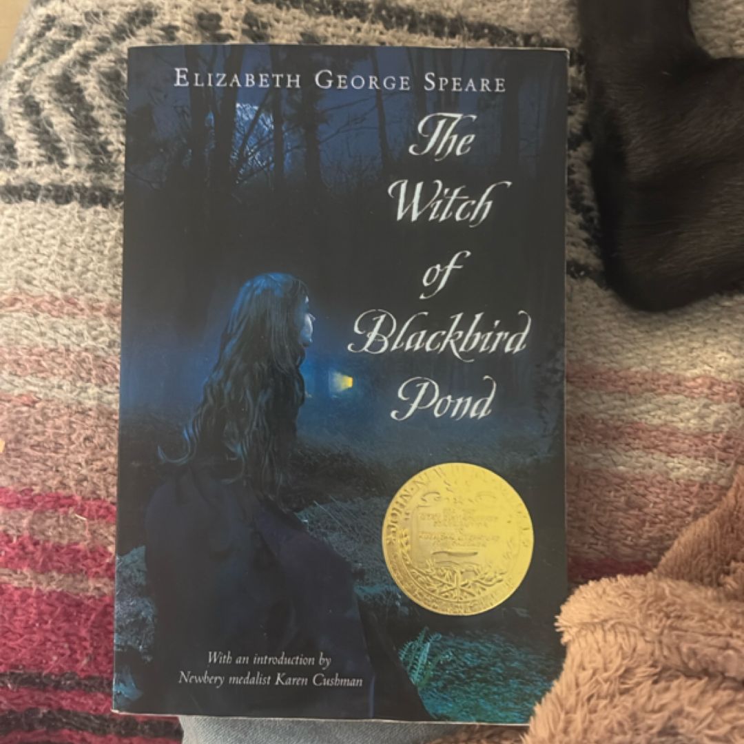 The Witch of Blackbird Pond
