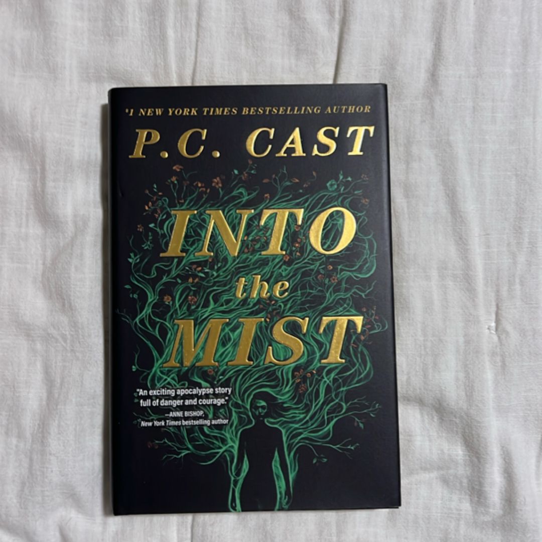 Into the Mist