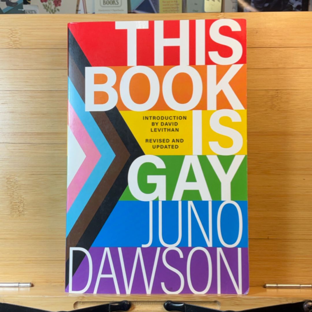 This Book Is Gay
