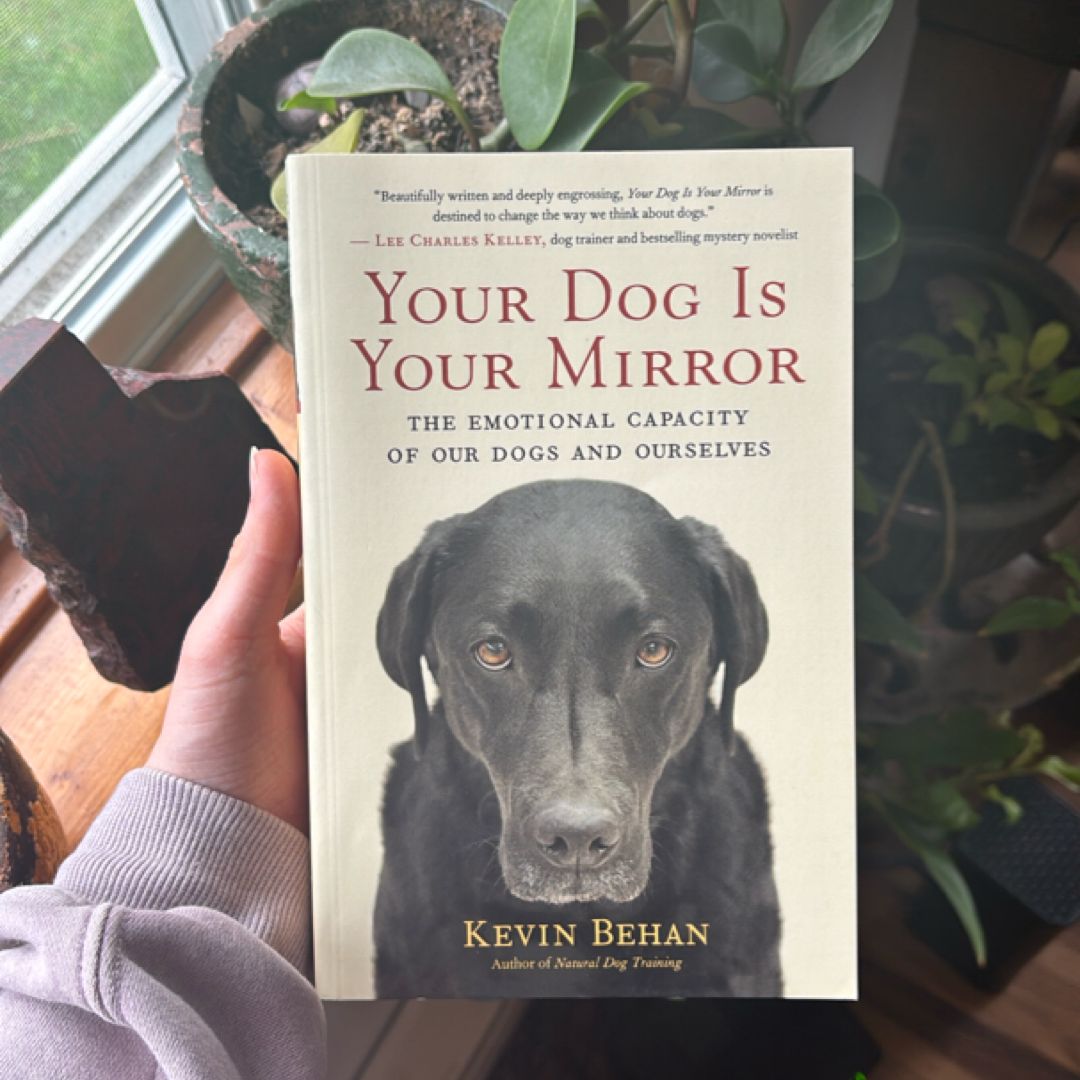 Your Dog Is Your Mirror