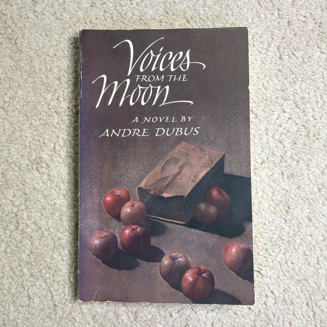 Voices from the Moon