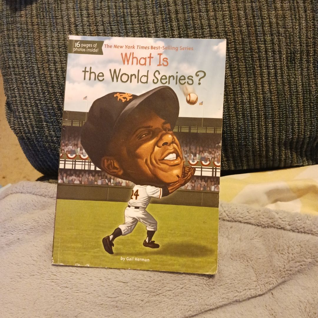 What Is the World Series?