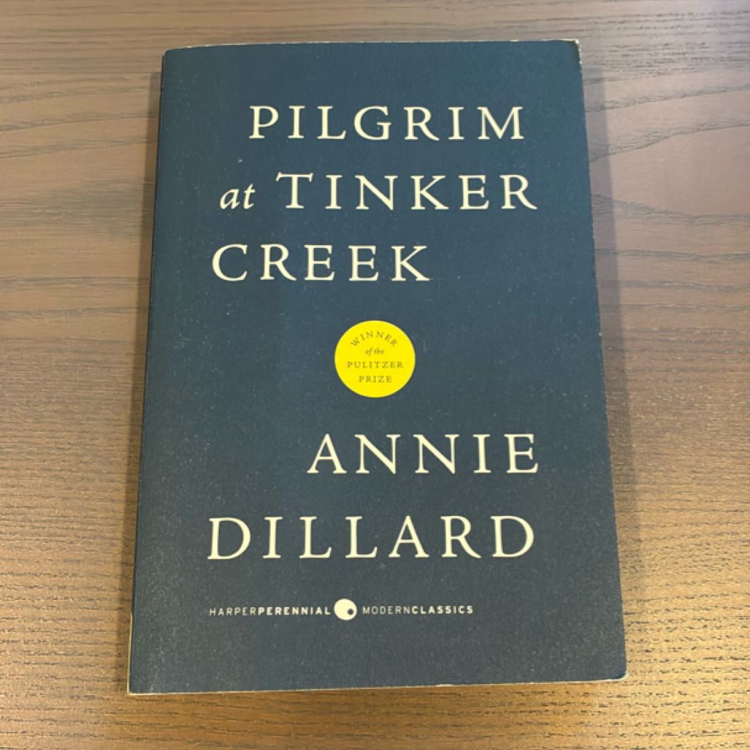 Pilgrim at Tinker Creek