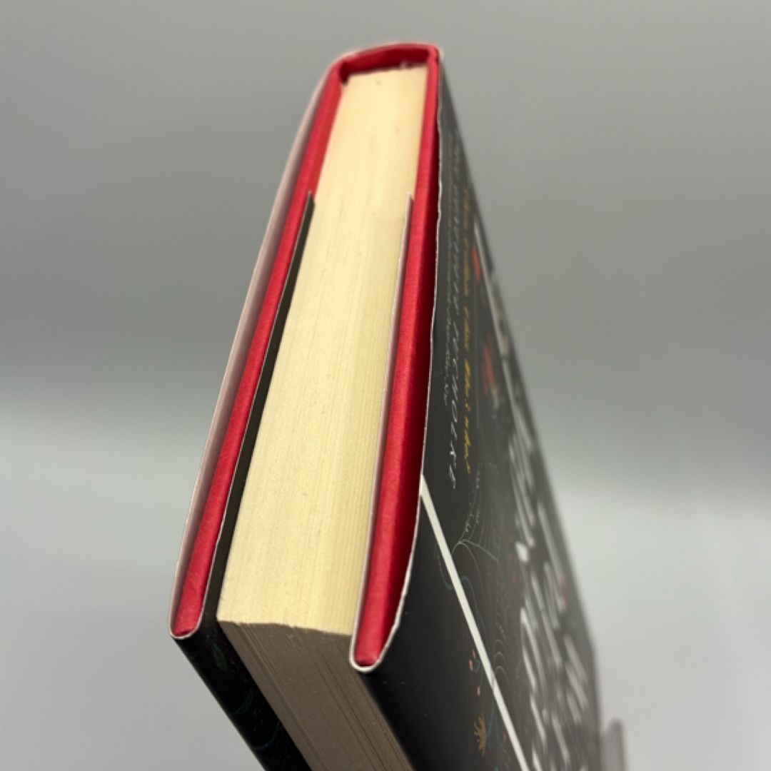 Wink Poppy Midnight (1st edition)