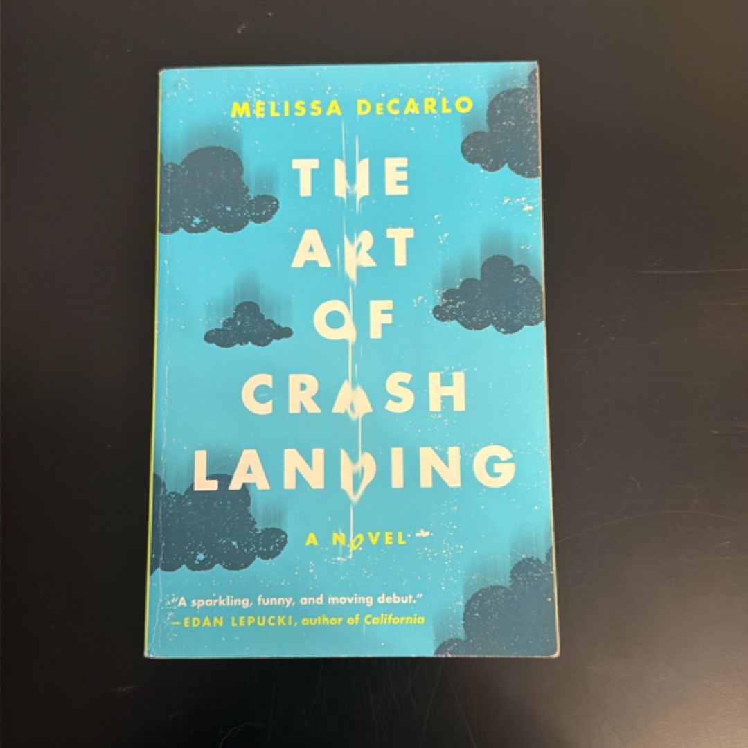 The Art of Crash Landing