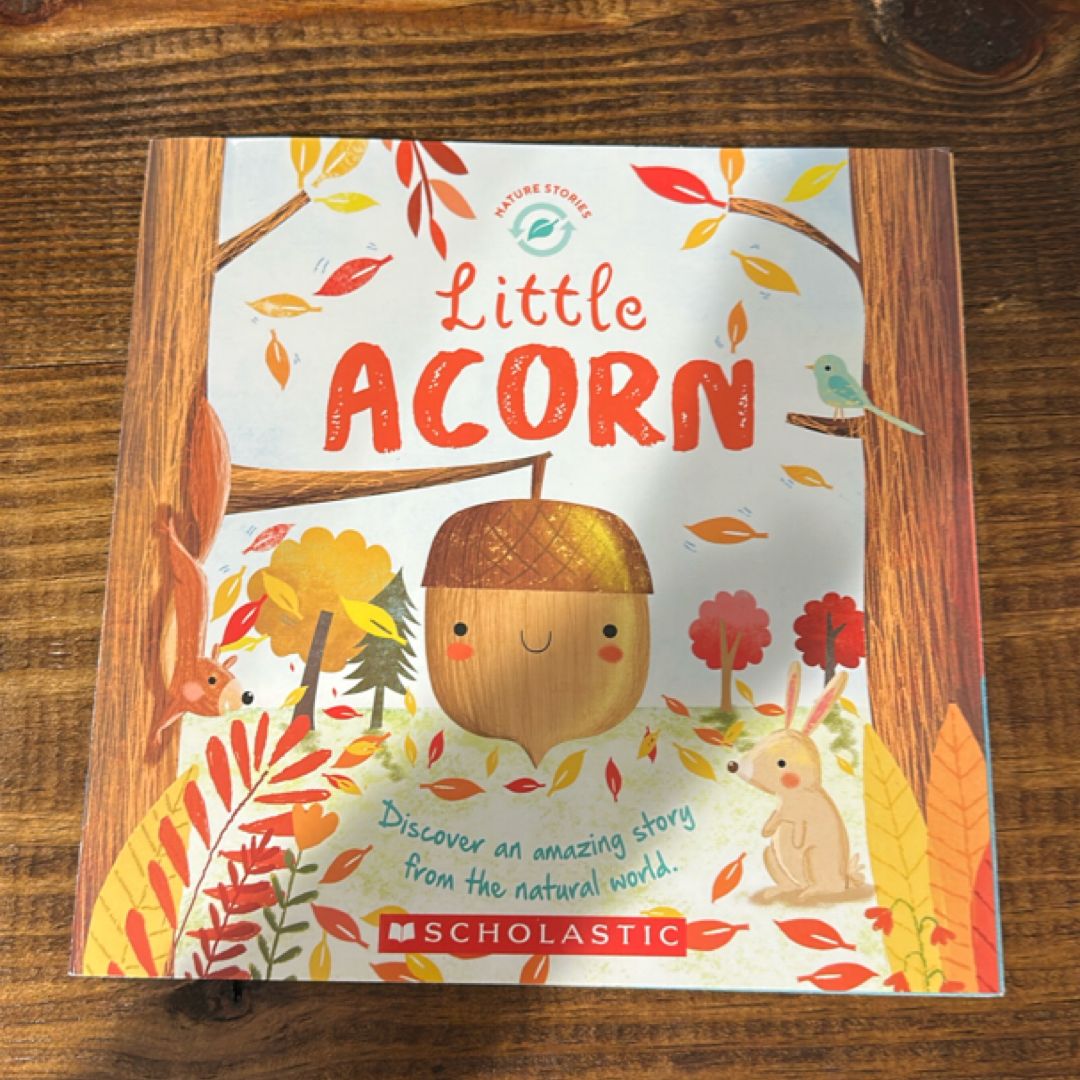 Little Acorn