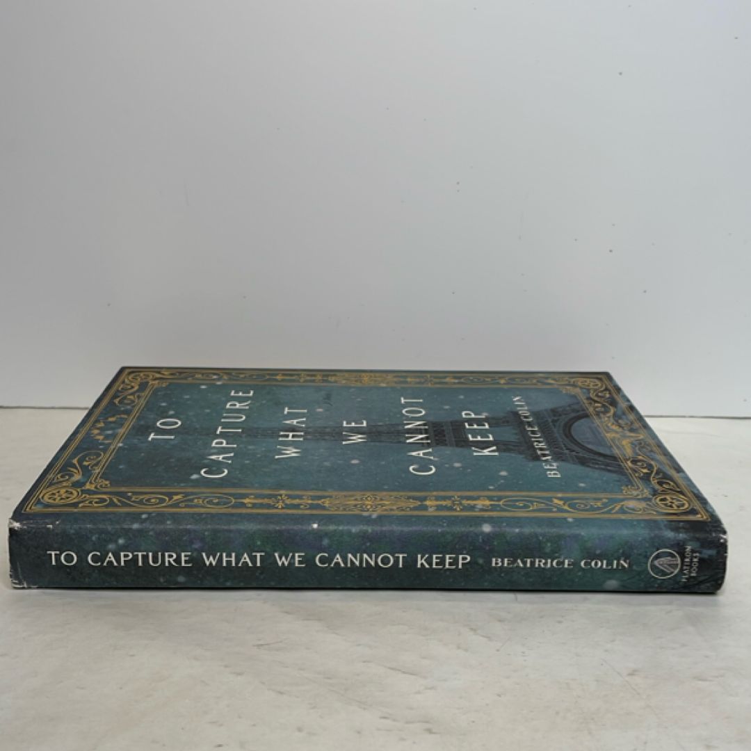To Capture What We Cannot Keep