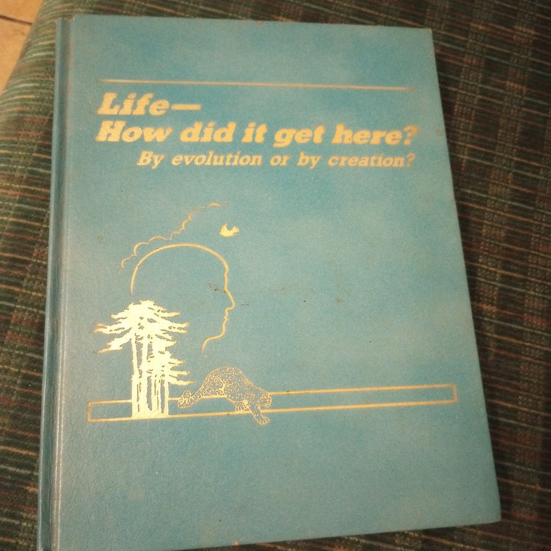 Life how did it get here by evolution or creation