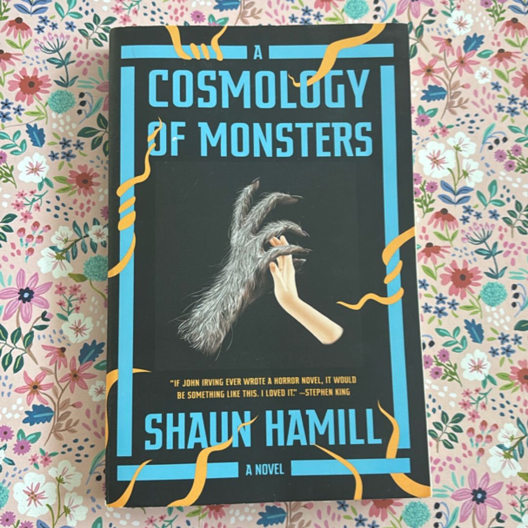 A Cosmology of Monsters