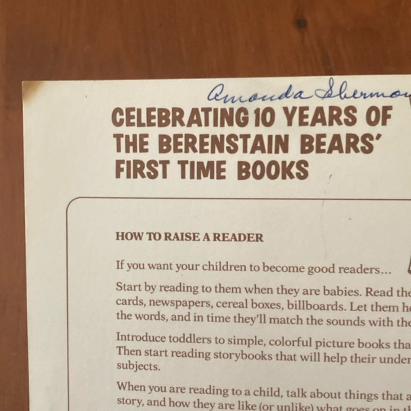 The Berenstain Bears and Too Much TV