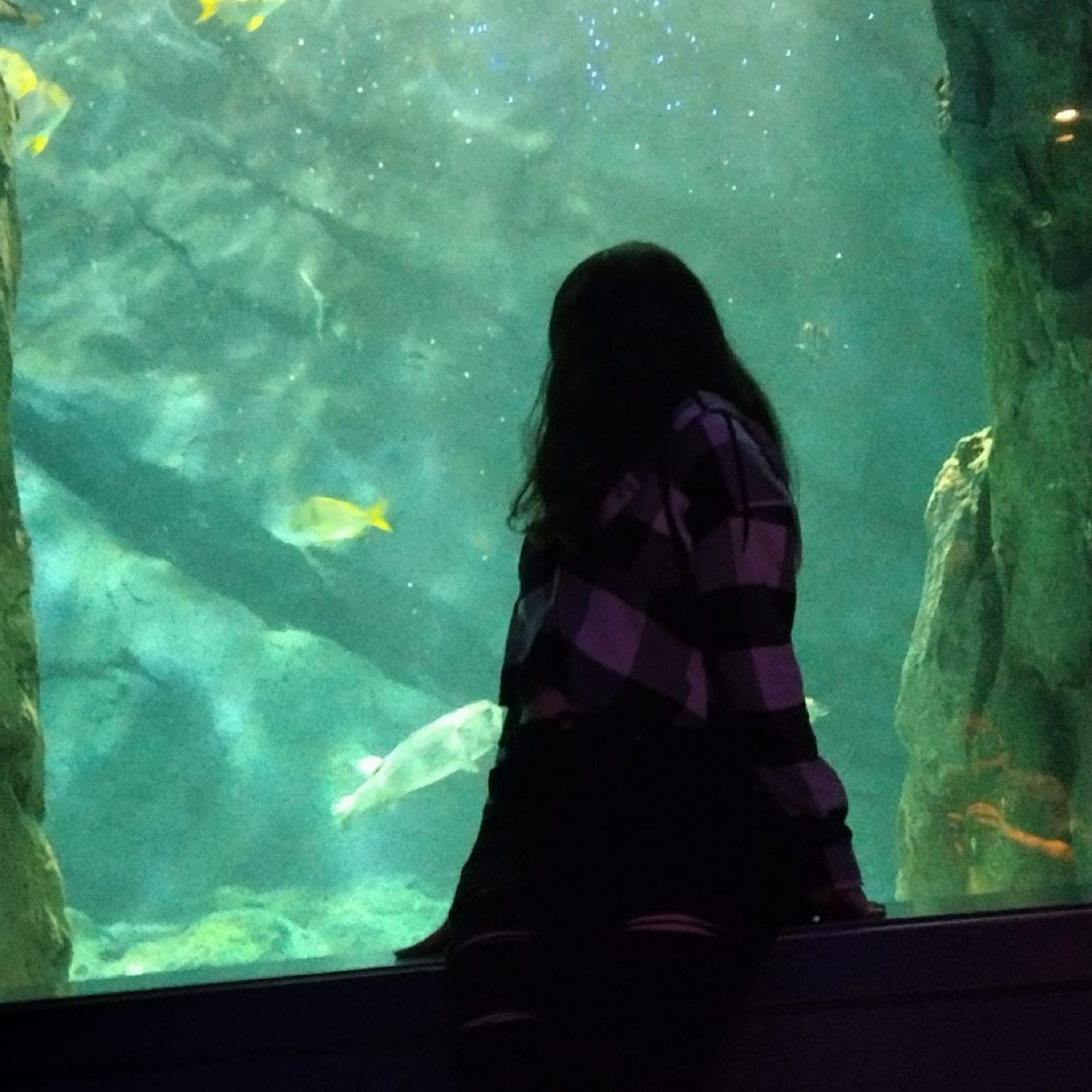 Spellbound Pages’ $5 and Under Bookshop