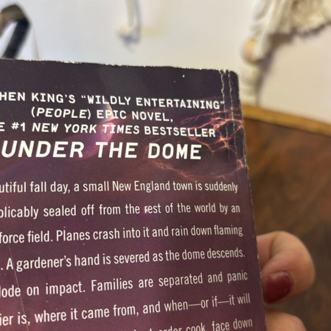 Under the Dome
