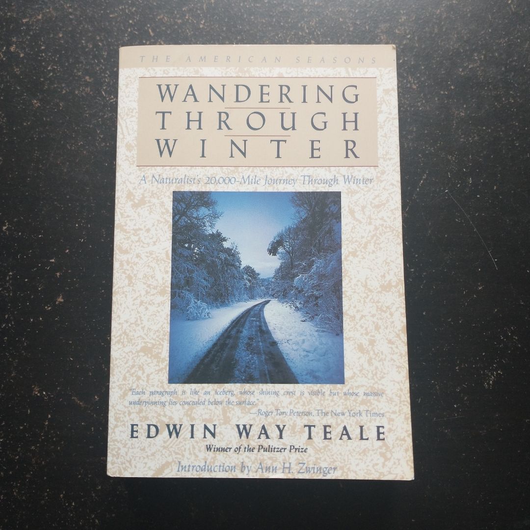 Wandering Through Winter