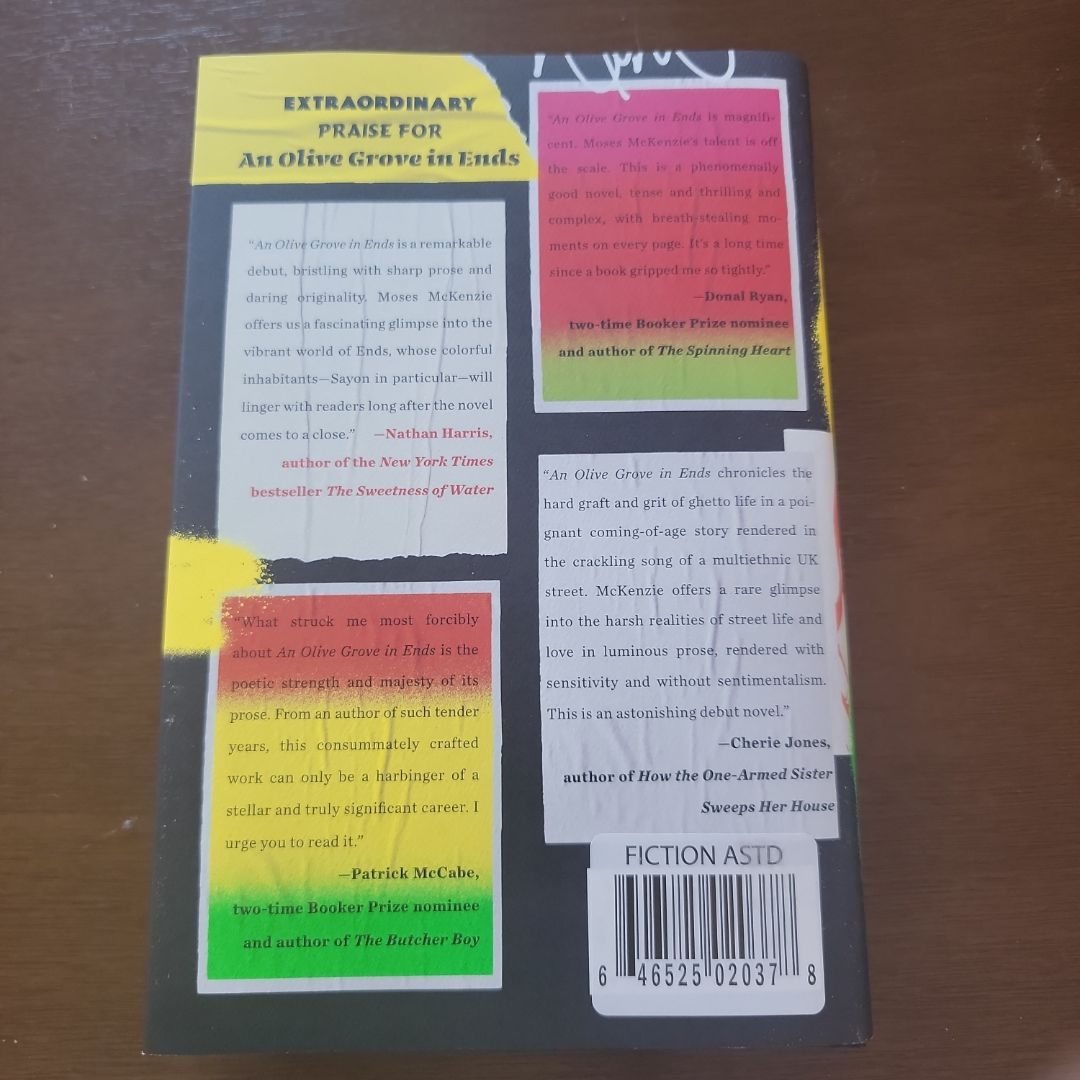 An Olive Grove in Ends