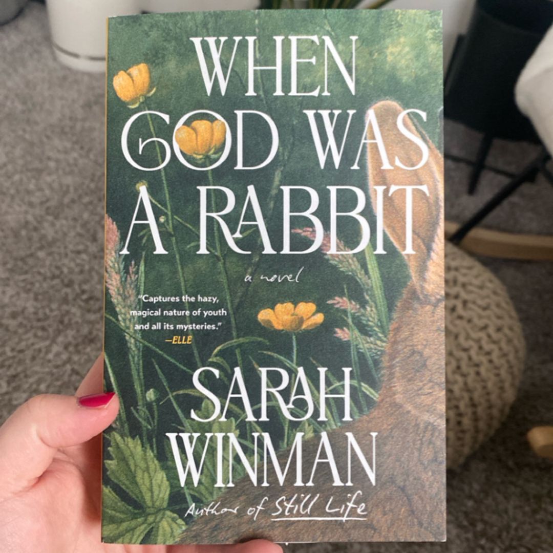 When God Was a Rabbit