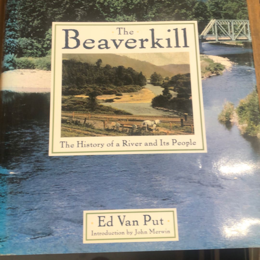 The Beaverkill