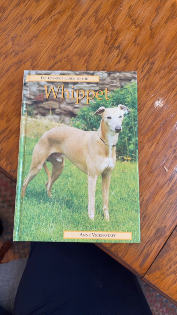Pet Owner's Guide to the Whippet