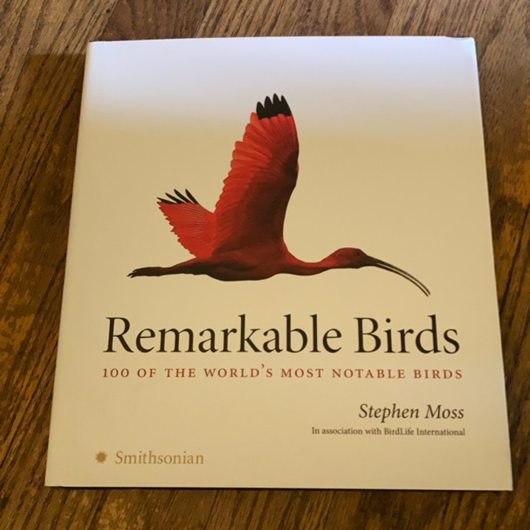 Remarkable Birds