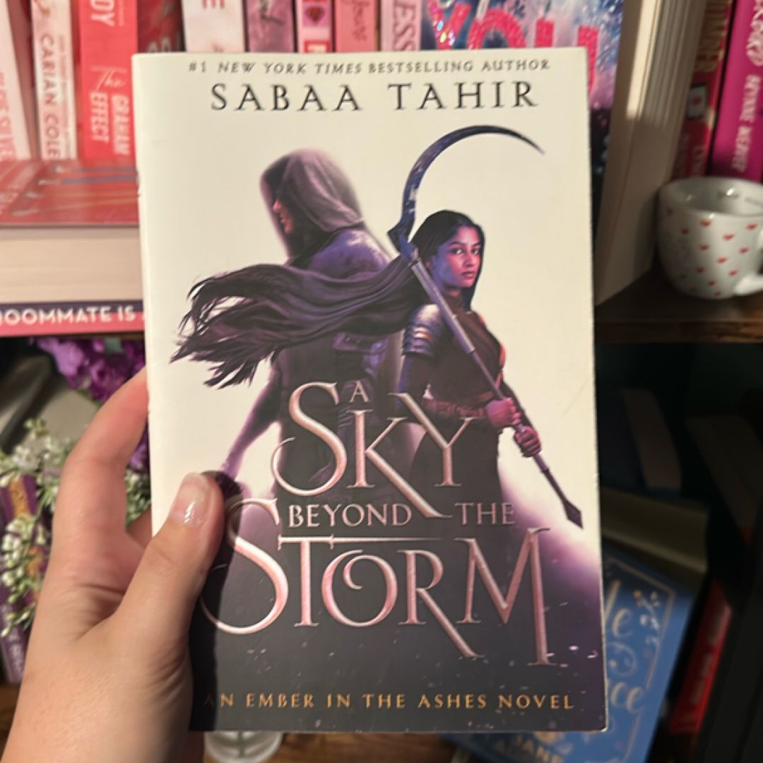 A Sky Beyond the Storm