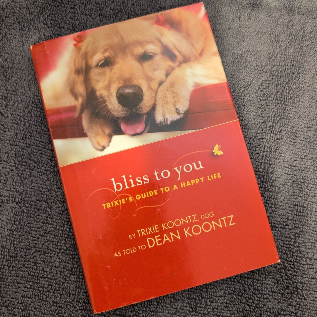 Bliss to You
