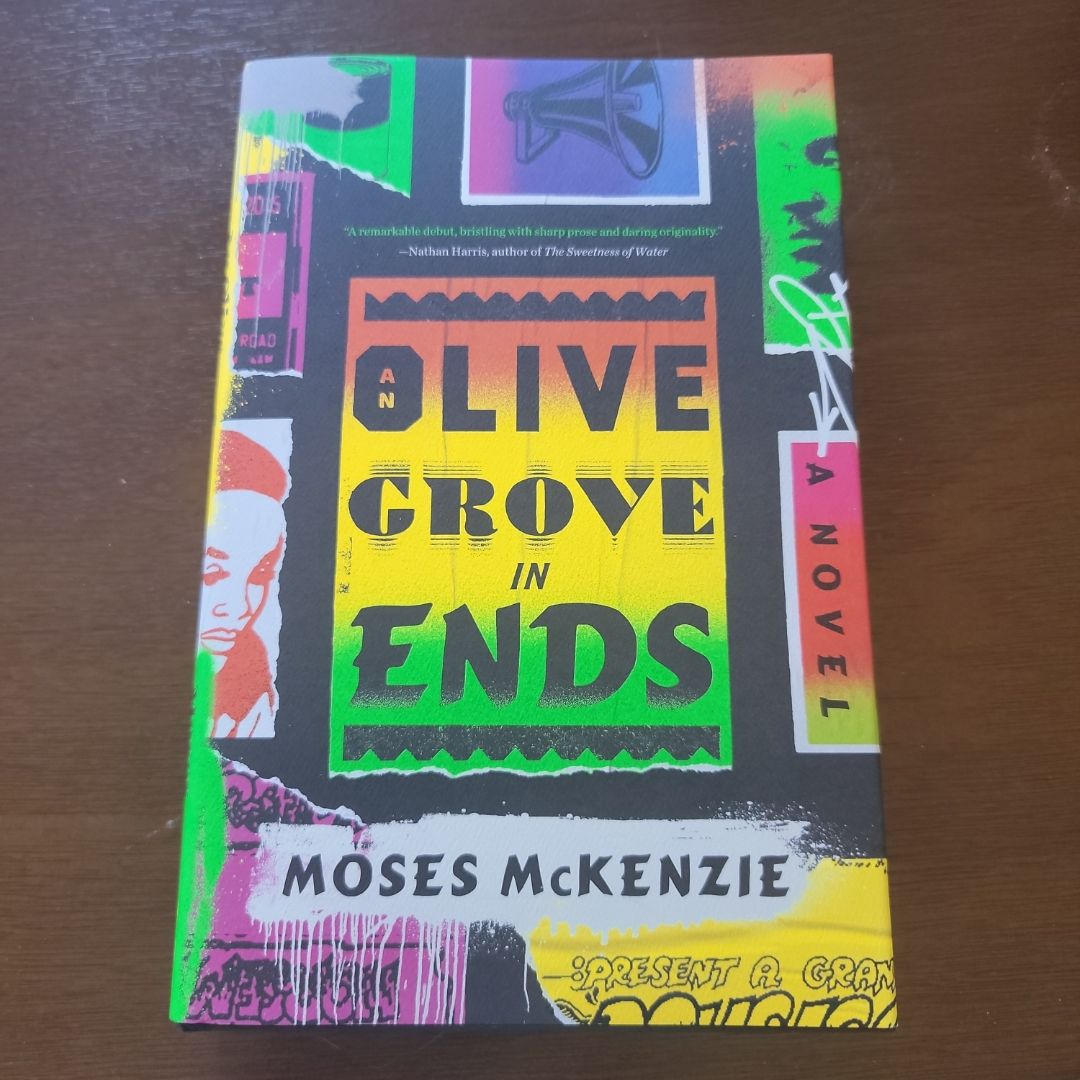 An Olive Grove in Ends