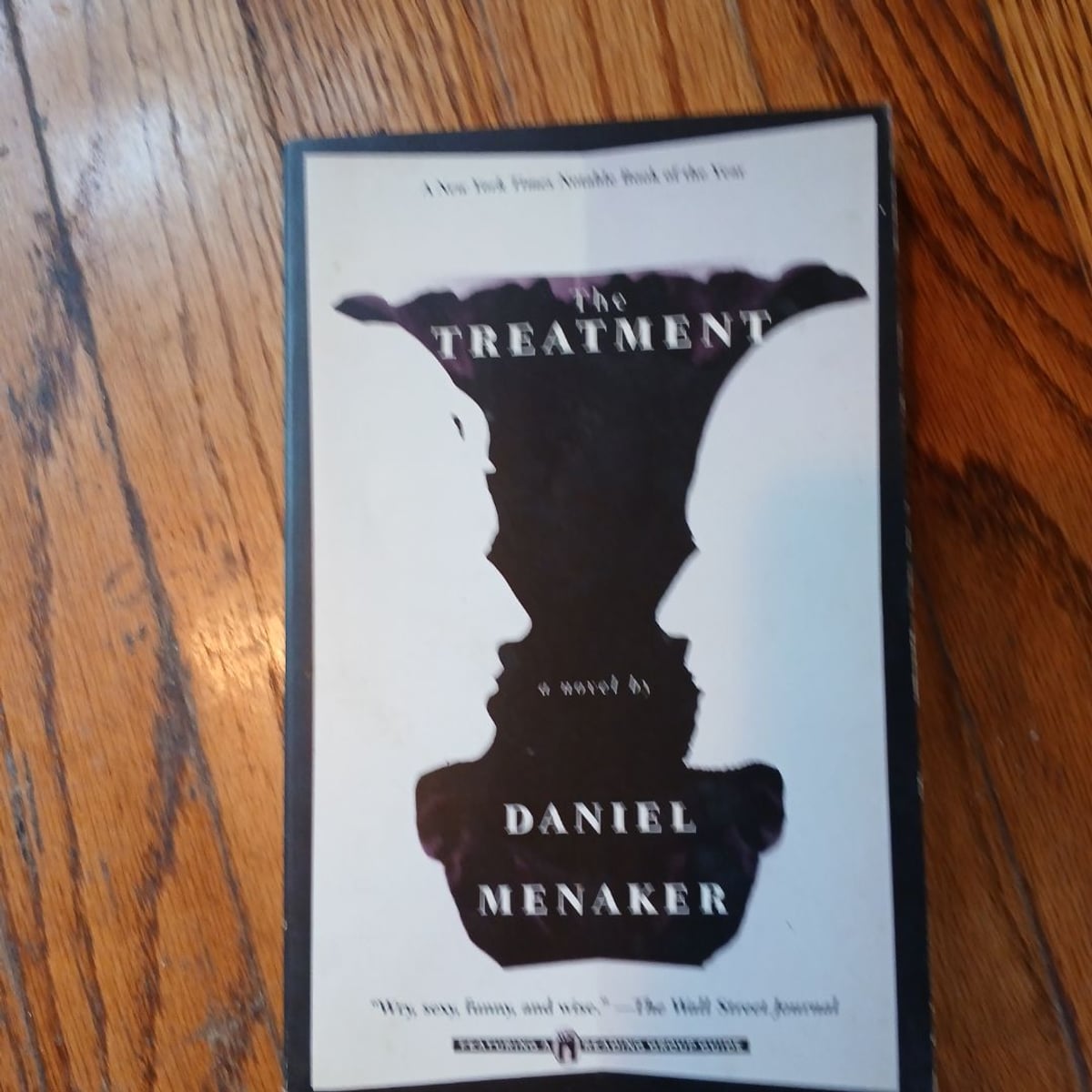 The Treatment by Daniel Menaker
