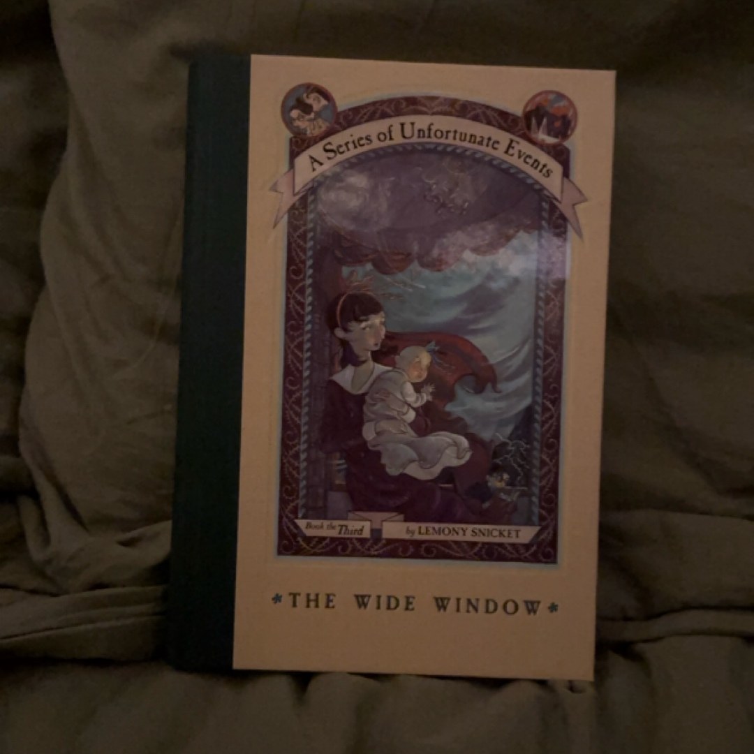 A Series of Unfortunate Events #3: the Wide Window