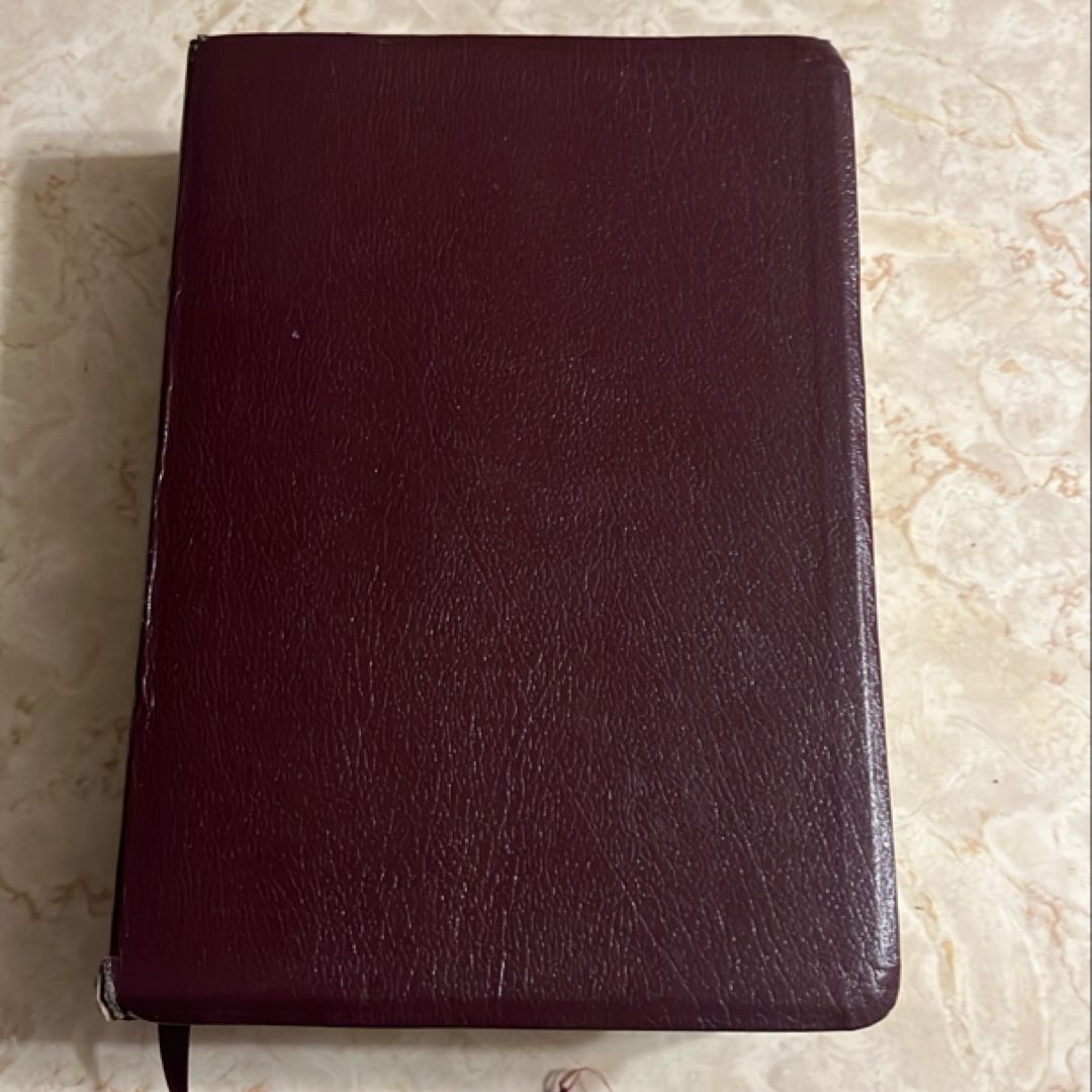 Today's Parallel Bible