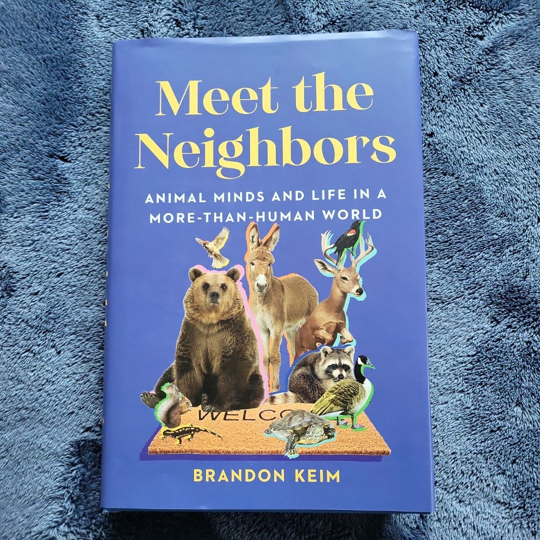 Meet the Neighbors