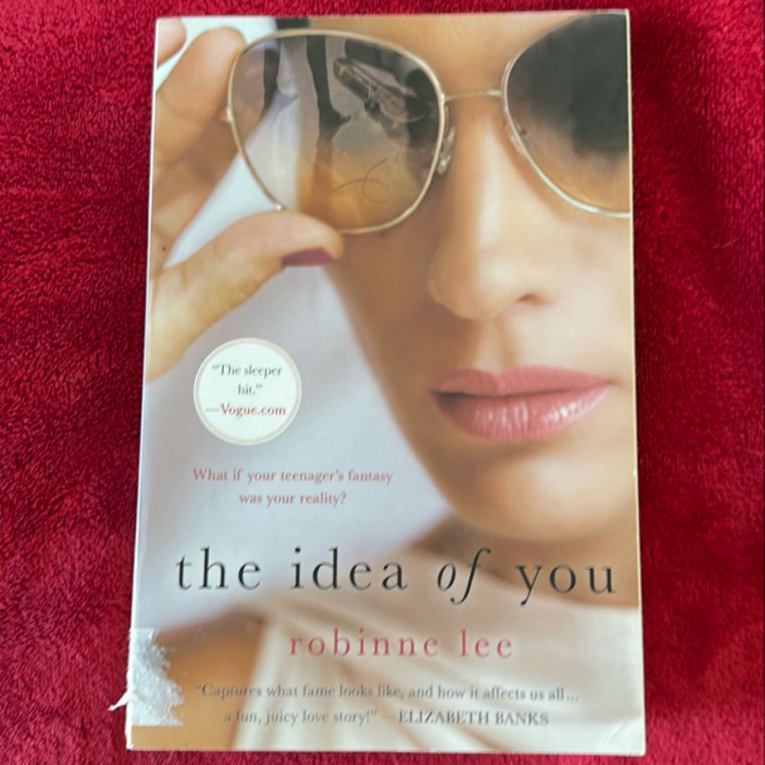 The Idea of You