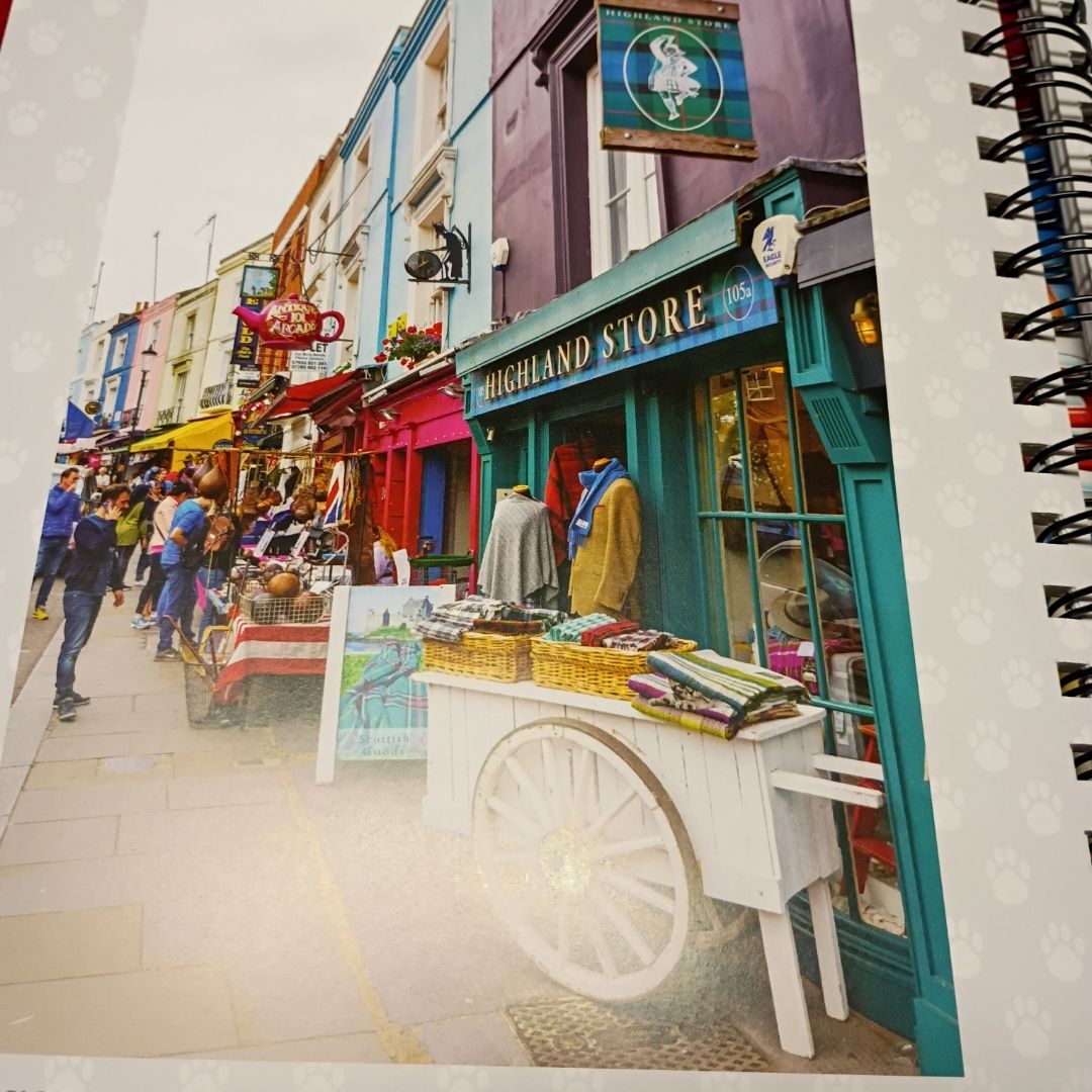 Brain Games - Find the Cat