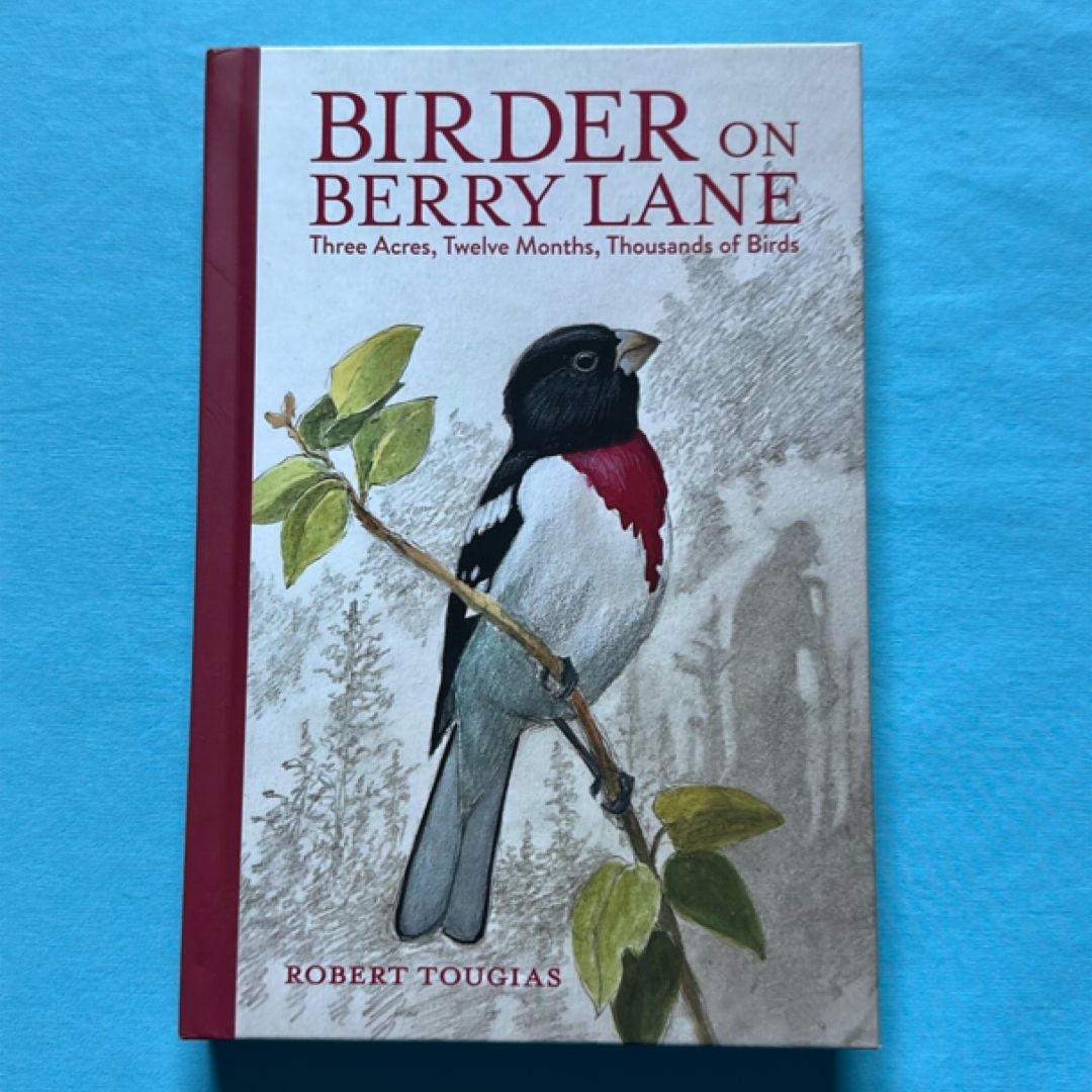 Birder on Berry Lane