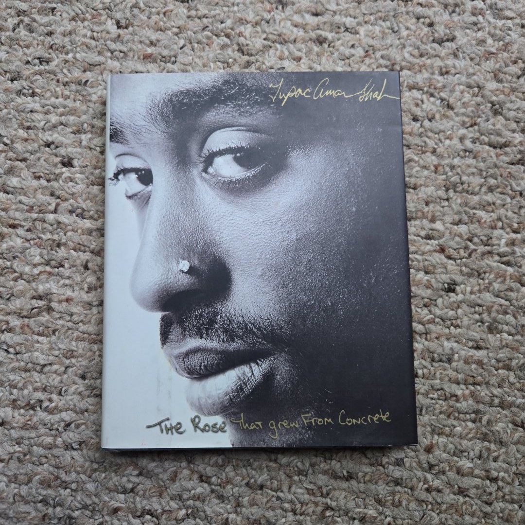 The Rose That Grew from Concrete